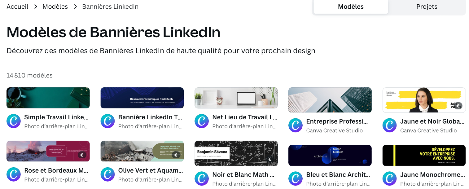 modeles-de-bannieres-linkedin marina rogard